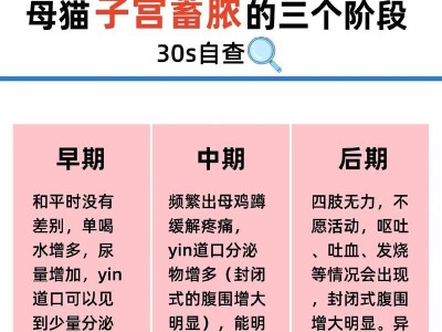 母猫分娩周期及注意事项（了解母猫分娩的关键诀窍，让你的母猫安全健康）