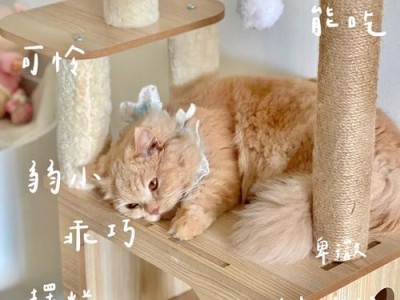 猫为什么会咕噜噜叫？（探寻猫咪咕噜噜叫的原因和意义）