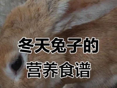 兔子的日常饮食需求及喂养频率（了解兔子饮食习惯，做好喂养管理）