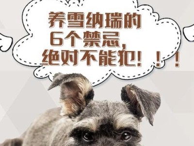 牛头梗幼犬喂养指南（以宠物为主，让你的小犬健康成长）