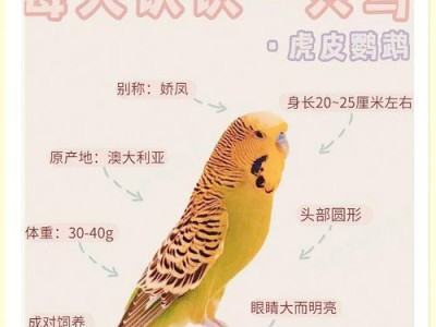 以虎皮孵化需要多长时间？（虎皮孵化过程及时间长短分析）