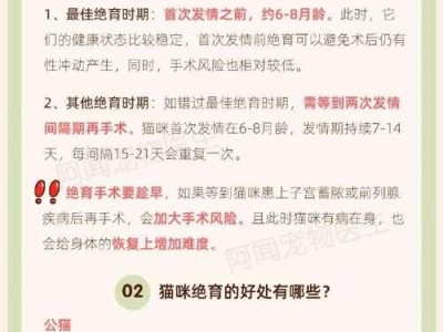 绝育对猫咪的危害及注意事项（保护宠物健康的选择——猫咪绝育）