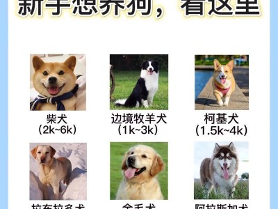 以萨摩耶犬训练方法为主题的宠物教育指南（掌握以萨摩耶犬训练法，让你的宠物成为优秀伴侣）