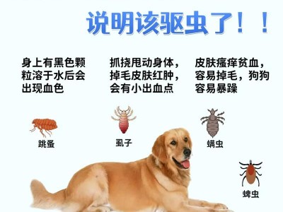 狗狗吃了打虫药后的康复过程（了解狗狗打虫药的作用及康复时间，宠物的健康从细节开始）