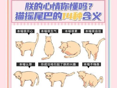 猫咪尾巴的姿势代表着的情绪（猫咪尾巴的语言-揭秘猫咪不同姿势的含义）