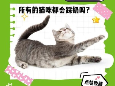 猫咪踩奶（揭开猫咪踩奶背后的秘密）