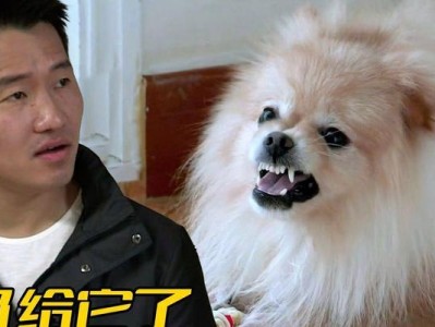 探究博美犬咬人行为的原因（解析博美犬咬人行为的背后心理机制）