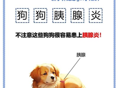 宠物的胰腺炎——预防、症状和治疗（了解宠物胰腺炎的原因、症状及有效的治疗方法）