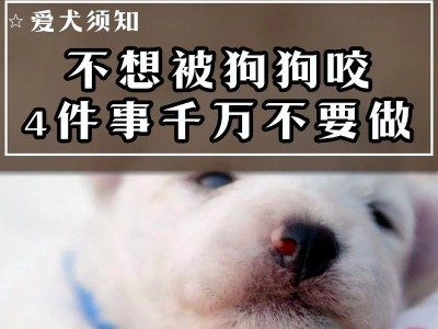 狗狗早产的原因及预防措施（探索狗狗早产的原因，保护我们的毛茸宝贝）