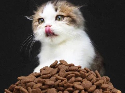 猫咪能吃狗粮吗？（狗粮对猫咪的影响及如何选择适合猫咪的宠物食品。）
