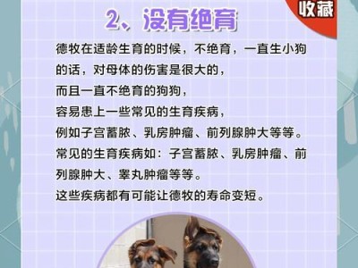 如何帮助以德牧分娩后的虚弱狗狗恢复健康（三方面关怀让你的以德牧重新焕发活力）