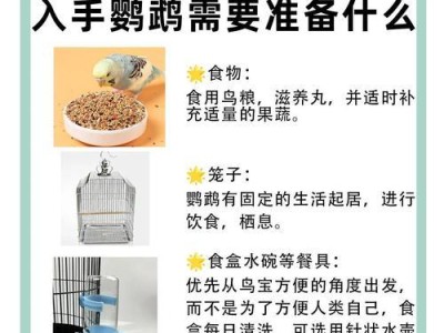 养鹦鹉的注意事项（新手必读！了解如何正确养鹦鹉）