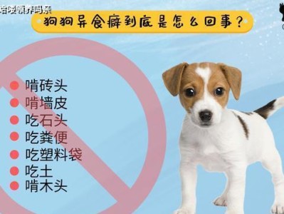 异食癖（探索为什么有人会有异食癖）