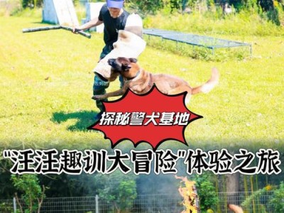 以警犬基地的狗都吃什么？（揭秘警犬基地饲养狗的饮食习惯）