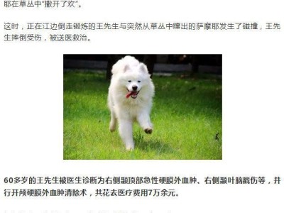 萨摩耶犬训练指南（从零开始培养温顺听话的宠物犬）