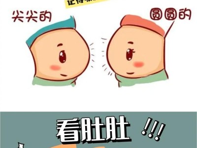 怀孕多久肚子才会看得出？（了解关于孕肚的成长周期以及影响因素）