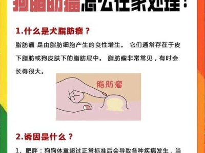 深入了解狗囊肿的形成原因（揭秘狗囊肿背后的成因和预防方法）