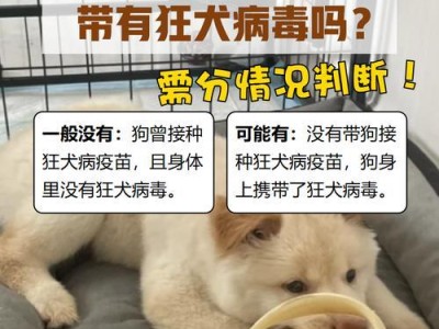 猫咪狂犬病（了解狂犬病的特征和预防措施）
