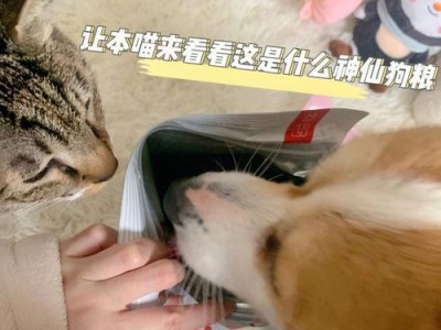 如何避免宠物吃狗粮后肚子叫？（以吐狗粮肚子叫、猫吃狗粮肚子大为例，探讨宠物饮食健康的重要性）