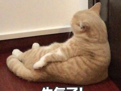 为什么猫咪发火时不会攻击人？（探寻猫咪发火行为背后的原因和保护机制）