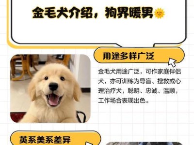 金毛奶狗最佳抱养时间（了解金毛奶狗抱养的最佳时间，让你的宠物生活更健康）