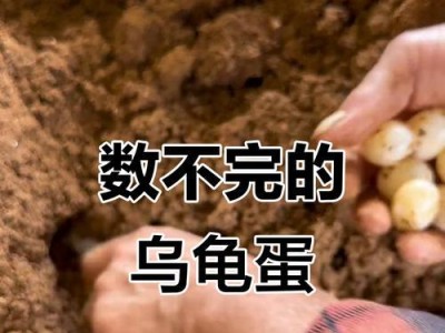 乌龟蛋孵化时间的确定（探究乌龟蛋孵化所需的天数及关键因素）