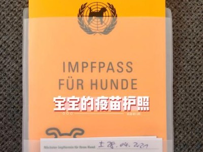 如何改善狗的胃口问题（探索针对狗胃口不好的有效治疗方法）