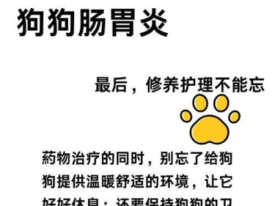 狗狗需要禁食多久？（为了狗狗的健康，禁食时间很重要。）