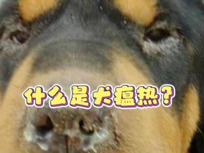小狗犬瘟初期症状及预防措施（了解小狗犬瘟初期症状，保护你的宠物健康）