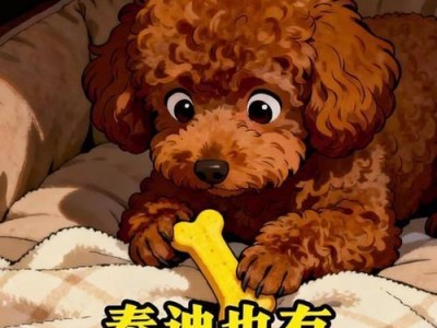 泰迪的最爱（探索泰迪的味蕾世界，它独爱这些人类食物）