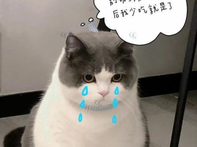 猫食变质后如何救治（药物治疗是关键）