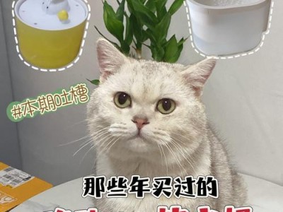 为什么兔子需要使用饮水器？（解析兔子饮水器的重要性及使用方法）