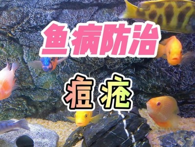 鱼身上的白点（深入探究鱼身上白点的形成原因和可能的影响）