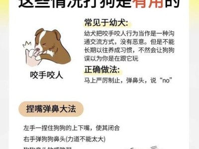 犬的训练科目及方法探析（了解犬的训练科目，提升宠物生活质量）