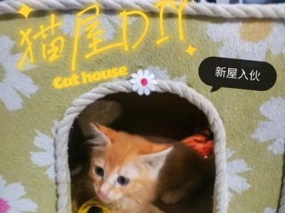 手工diy小猫用品，打造自己的宠物世界（以宠物为主，让小猫生活更舒适）