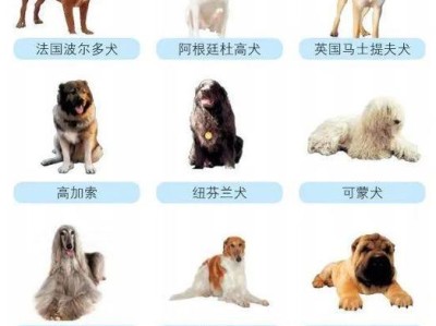 无法办理狗证的犬种及原因（了解哪些狗不能获得狗证和原因）