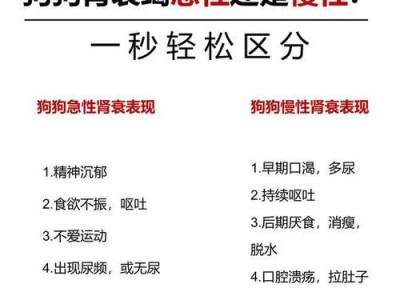 如何喂养肾衰竭的狗狗（肾衰竭饮食指南及关键要素）