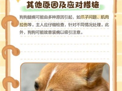 狗狗腿瘸了多久可以自愈？（了解原因并采取合适的措施处理解决）