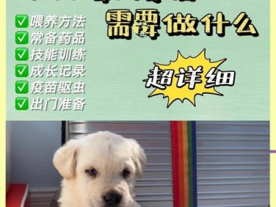 刚带回家的幼犬，打疫苗的重要性（保护幼犬免受疾病侵害的必要措施）
