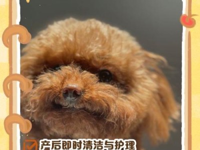 小狗成长的最佳时间间隔（探讨以生小狗时间间隔多久对其成长的影响）