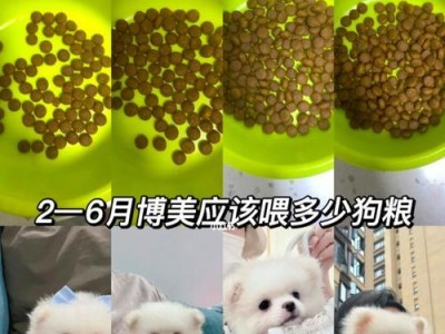 如何合理给小狗狗喂食？（狗狗不吃饭怎么办？）