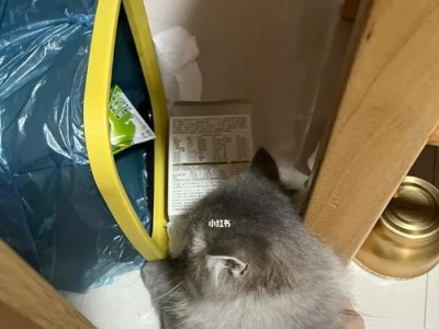 猫咪总是翻垃圾桶？这些方法有用！（猫咪垃圾桶翻倒的原因和解决方法）