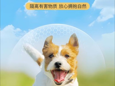 狗狗洗澡的必备工具与注意事项（为宠物狗提供舒适洗澡体验的10个关键工具）