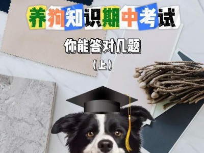 狗狗什么时候认主人？（探究狗狗如何建立与主人之间的牢固纽带）
