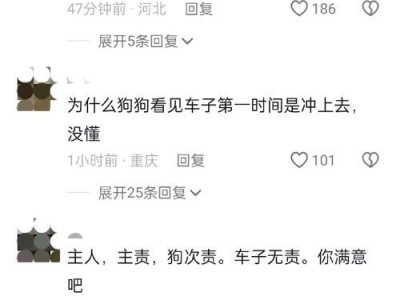 狗狗被车撞死车跑了，谁负责？（探讨车辆撞死宠物狗后的责任归属问题）