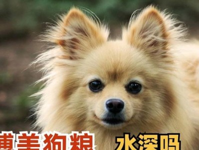 如何合理为三个月大的博美犬定量喂养狗粮（根据具体情况确定狗粮量，让博美健康成长）