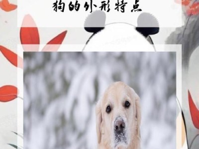 揭秘狗的特点与意义——人类最忠诚的伙伴（了解狗的特点，走近人类与狗的深度情感纽带）