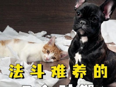 法国斗牛犬（探索法国斗牛犬的魅力，为何广受喜爱）