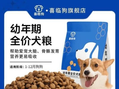 金毛犬的饮食宝典（探索金毛犬最适合的食物搭配与营养需求）