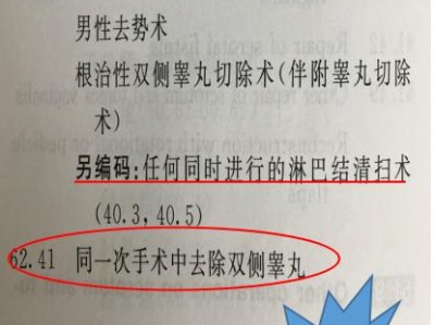 单睾和双睾的区别及其相关问题（了解男性生殖系统中单睾和双睾的差异，以及可能产生的影响）